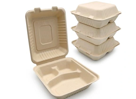 علبة باغاس 3 أقسام — GN-P-SH08-3